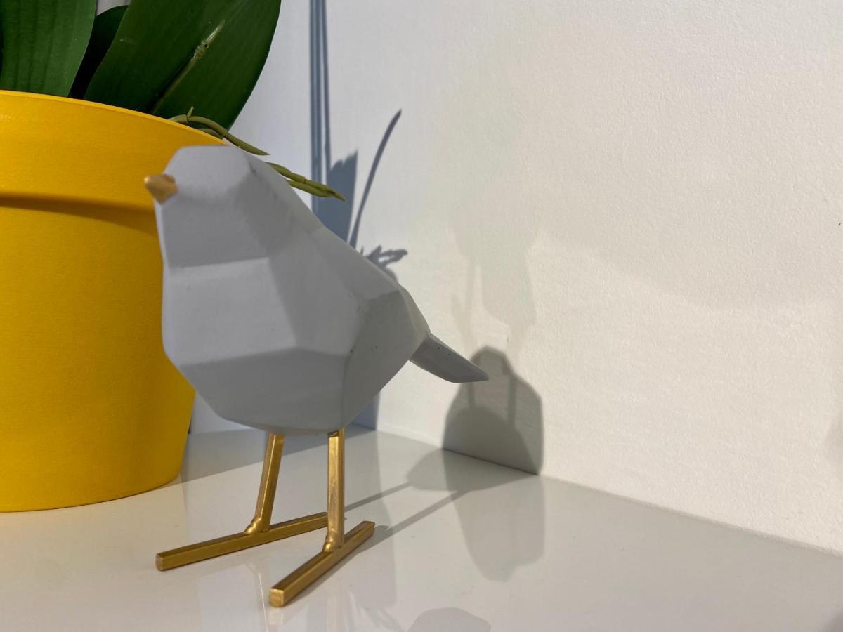 奥斯滕德Moderne Studio Aan Zee公寓 外观 照片